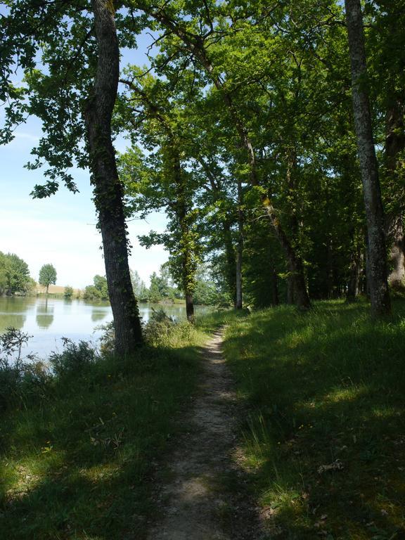 Lac De كونْكو المظهر الخارجي الصورة